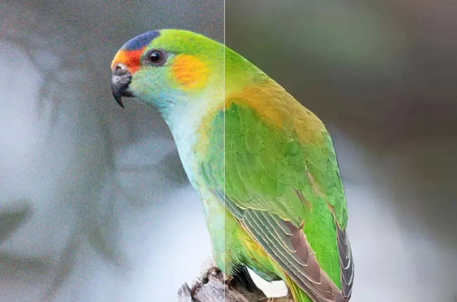 Làm nét ảnh với Topaz AI Photo